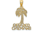 FJC Finejewelers 14k Yellow Gold Grand Caymans Under Palm Treeflat Charm