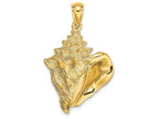 FJC Finejewelers 14k Yellow Gold Conch Shell Charm