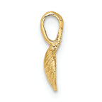 FJC Finejewelers 14k Yellow Gold Mini Clam Shell with Fixed Bail Charm