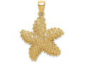 FJC Finejewelers 14k Yellow Gold Beaded Starfish Charm