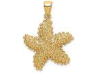 FJC Finejewelers 14k Yellow Gold Beaded Starfish Charm