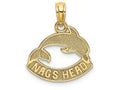 FJC Finejewelers 14k Yellow Gold Nags Head Banner Under Dolphintextured Charm