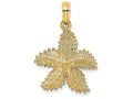 FJC Finejewelers 14k Yellow Gold Beaded Starfish Charm