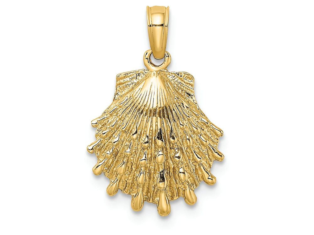 FJC Finejewelers 14k Yellow Gold Lion's Paw Shell Charm
