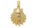 FJC Finejewelers 14k Yellow Gold Lion's Paw Shell Charm