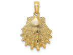 FJC Finejewelers 14k Yellow Gold Lion's Paw Shell Charm
