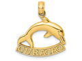 FJC Finejewelers 14k Yellow Gold Curacao Under Dolphin Charm