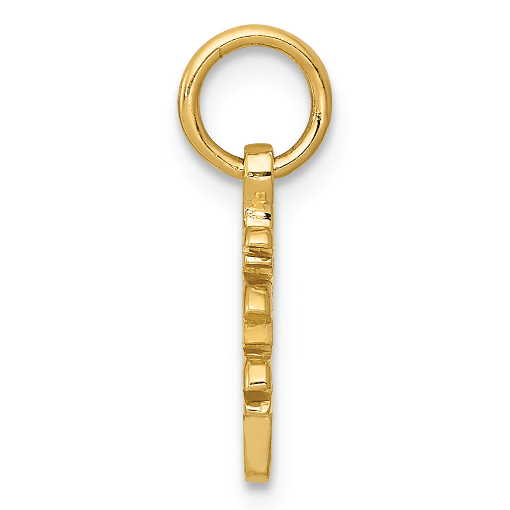 FJC Finejewelers 14k Yellow Gold Solid Polished Chinese Long Life Charm