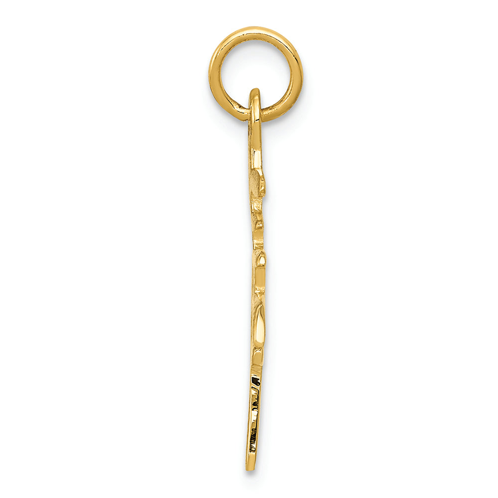 FJC Finejewelers 14k Yellow Gold Solid Polished Chinese Long Life Charm