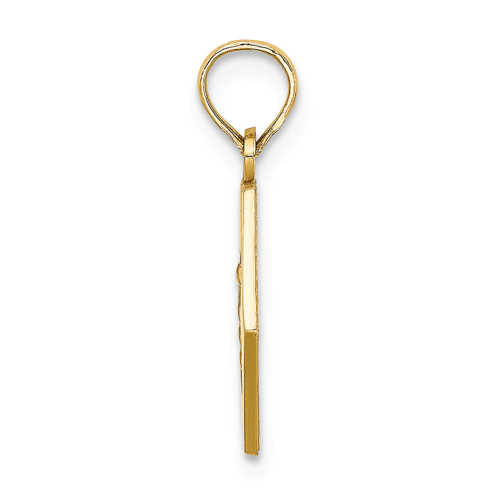 FJC Finejewelers 14k Yellow Gold Caduceus Medical Disc Engraveable Charm