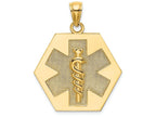 FJC Finejewelers 14k Yellow Gold Caduceus Medical Disc Textured Back Charm
