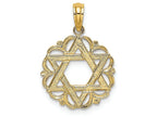 FJC Finejewelers 14k Yellow Gold Star Of David In Scalloped Circle - Jewish Charm