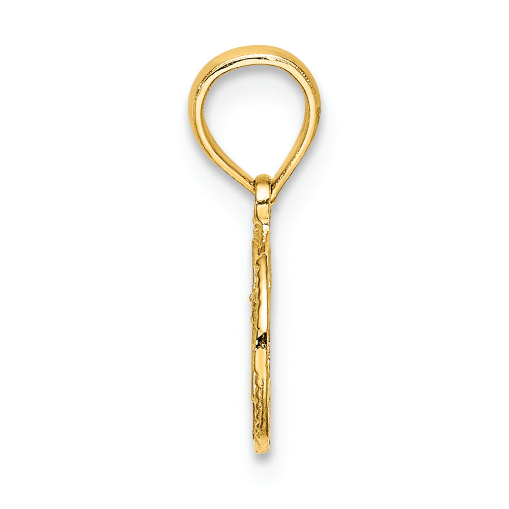 FJC Finejewelers 14k Yellow Gold Star Of David In Circleengraved - Jewish Charm