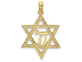 FJC Finejewelers 14k Yellow Gold Jewish Star with Chi Center - Jewish Charm