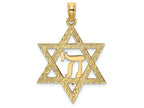 FJC Finejewelers 14k Yellow Gold Jewish Star with Chi Center - Jewish Charm