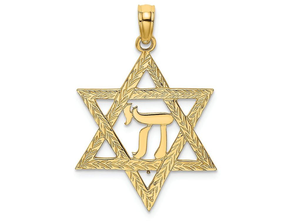 FJC Finejewelers 14k Yellow Gold Jewish Star with Chi Center - Jewish Charm