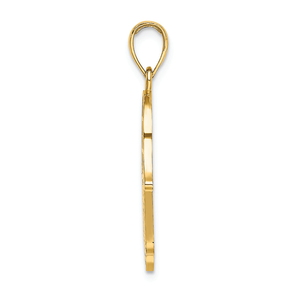 FJC Finejewelers 14k Yellow Gold Jewish Hand Of God with Star Of David Charm