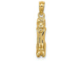 FJC Finejewelers 14k Yellow Gold 3d Marco Island Cat Charm