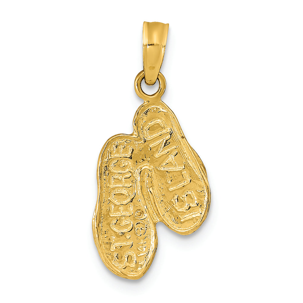 FJC Finejewelers 14k Yellow Gold St. George Island Reversible Flip Flops Charm