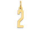 FJC Finejewelers 14k Yellow Gold Small Polished Elongated 2 Charm