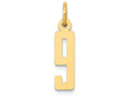 FJC Finejewelers 14k Yellow Gold Small Polished Elongated 9 Charm