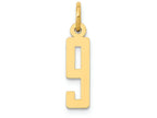 FJC Finejewelers 14k Yellow Gold Small Polished Elongated 9 Charm