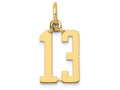 FJC Finejewelers 14k Yellow Gold Small Polished Elongated 13 Charm