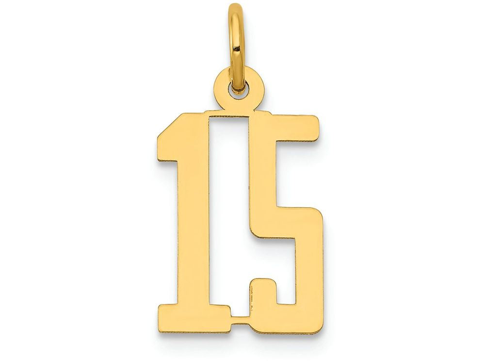 FJC Finejewelers 14k Yellow Gold Small Polished Elongated 15 Charm