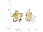 FJC Finejewelers 14k Yellow Gold W/ Rhodium Flower Post Earrings