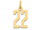 FJC Finejewelers 14k Yellow Gold Small Polished Elongated 22 Charm