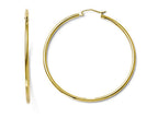 FJC Finejewelers 10k Polished Hinged Hoop Earrings