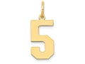FJC Finejewelers 14k Yellow Gold Medium Polished Number 5 Charm