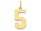 FJC Finejewelers 14k Yellow Gold Medium Polished Number 5 Charm