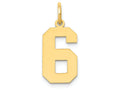 FJC Finejewelers 14k Yellow Gold Medium Polished Number 6 Charm