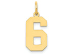 FJC Finejewelers 14k Yellow Gold Medium Polished Number 6 Charm