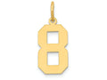 FJC Finejewelers 14k Yellow Gold Medium Polished Number 8 Charm