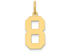 FJC Finejewelers 14k Yellow Gold Medium Polished Number 8 Charm