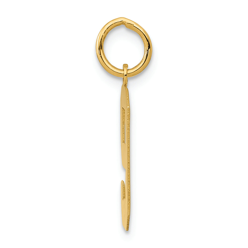 FJC Finejewelers 14k Yellow Gold Medium Polished Number 9 Charm