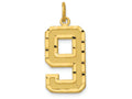 FJC Finejewelers 14k Yellow Gold Casted Large Bright Cut Number 9 Charm
