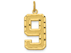 FJC Finejewelers 14k Yellow Gold Casted Large Bright Cut Number 9 Charm