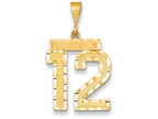 FJC Finejewelers 14k Yellow Gold Large Bright Cut Number 12 Charm