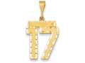 FJC Finejewelers 14k Yellow Gold Large Bright Cut Number 17 Charm