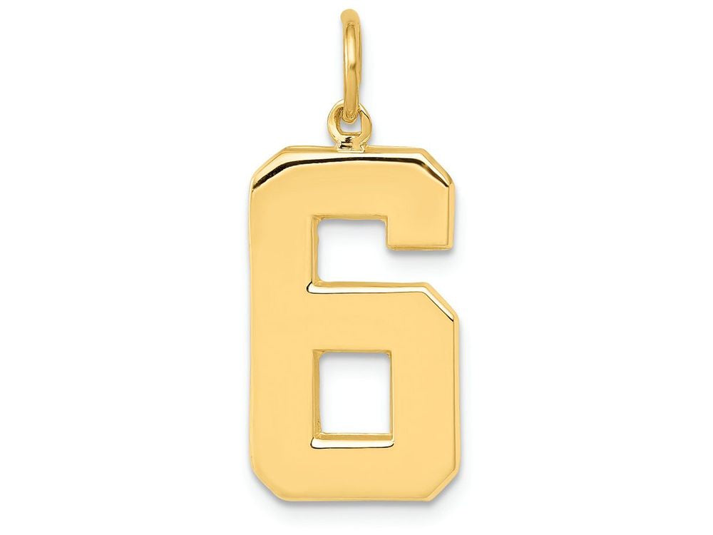 FJC Finejewelers 14k Yellow Gold Casted Large Polished Number 6 Charm
