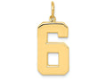 FJC Finejewelers 14k Yellow Gold Casted Large Polished Number 6 Charm