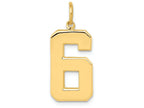 FJC Finejewelers 14k Yellow Gold Casted Large Polished Number 6 Charm