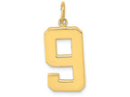 FJC Finejewelers 14k Yellow Gold Casted Large Polished Number 9 Charm
