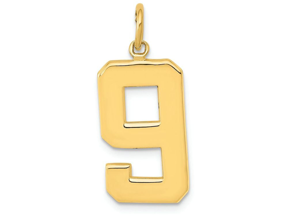 FJC Finejewelers 14k Yellow Gold Casted Large Polished Number 9 Charm
