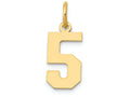 FJC Finejewelers 14k Yellow Gold Small Polished Number 5 Charm