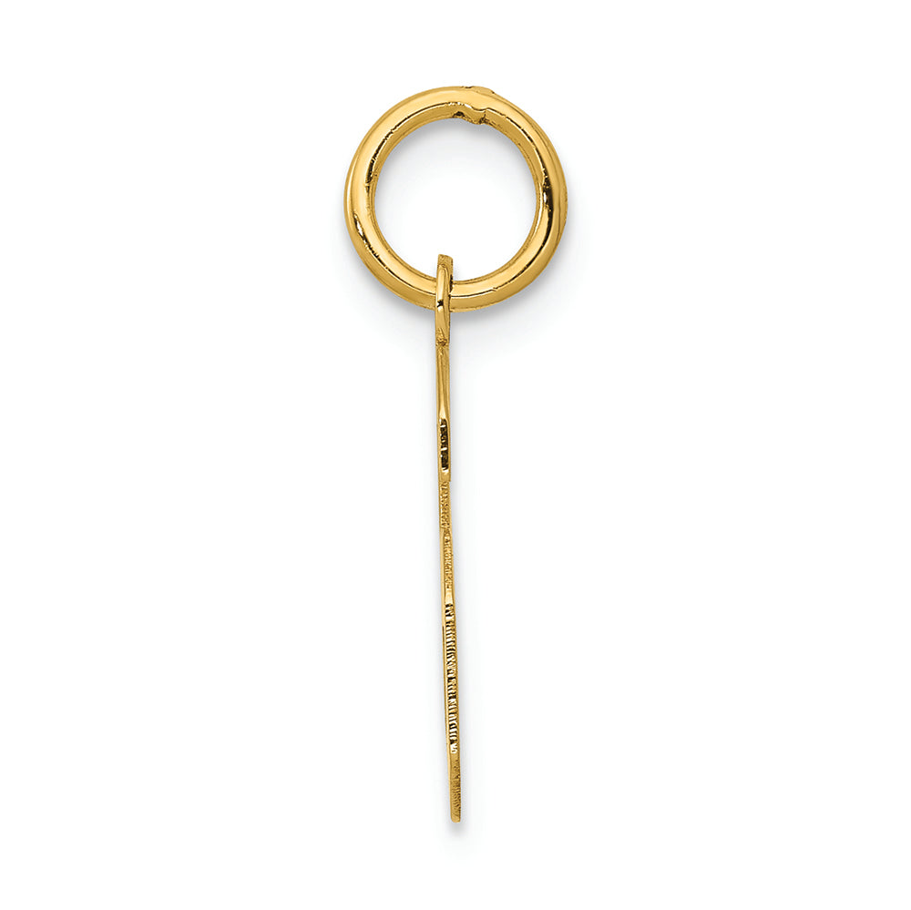 FJC Finejewelers 14k Yellow Gold Small Polished Number 6 Charm