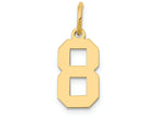 FJC Finejewelers 14k Yellow Gold Small Polished Number 8 Charm
